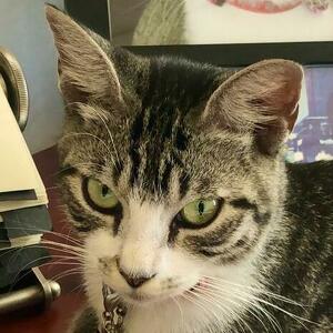 Therapeutic Recreation Team